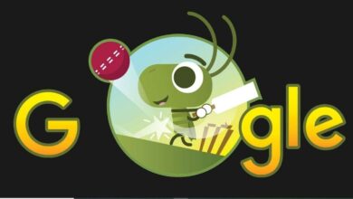 google doodle cricket