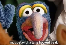 muppet with long hooked beak